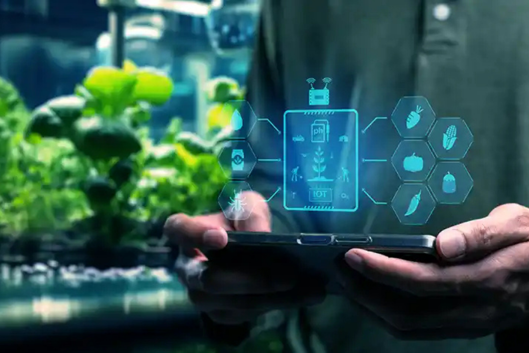 crop yield forecasting